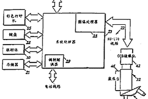 组织重现和图像自动分析