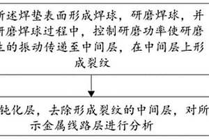 芯片结构分析方法