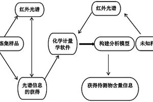 利用红外光谱定量分析乳铁蛋白含量的方法