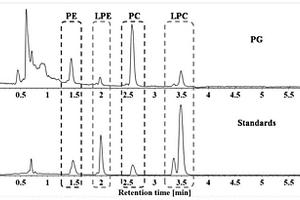 桔梗中磷脂类成分定性分析及其C=C定位的方法