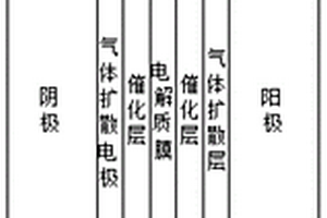 用于质子交换膜电解池特性分析的二维稳态模型建立方法