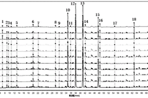 三七姜乙酸乙酯部位的指纹图谱和质量分析方法
