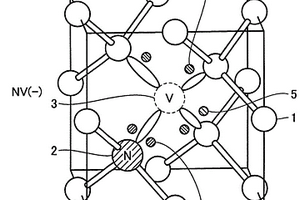 纳米金刚石颗粒及其制造方法以及荧光分子探针和蛋白质的结构分析方法