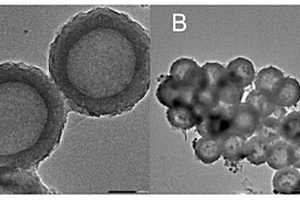 C<Sub>3</Sub>N<Sub>4</Sub>纳米球负载全无机钙钛矿CsPbBr<Sub>3</Sub>的制备方法及其电致化学发光细胞传感