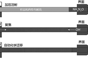 单步毛细管等电聚焦和分析物的迁移