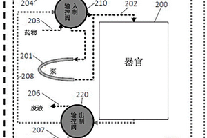 多个灌注工程组织构建和微型生化分析仪的互联，多个微型配方设计模块及其应用