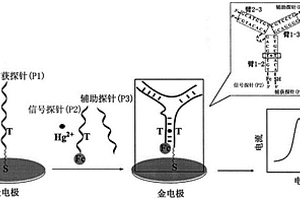 高灵敏高选择的金属汞离子电化学传感器