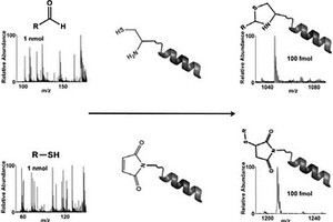多肽化衍生方法及其在MALDI-TOF-MS检测小分子化合物中的应用