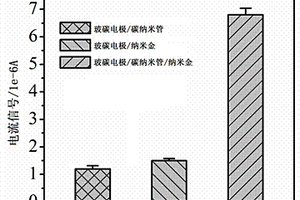 碳纳米管/纳米金复合膜电化学免疫传感器及其应用