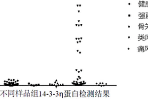 检测14-3-3eta蛋白的均相免疫检测试剂盒及其应用