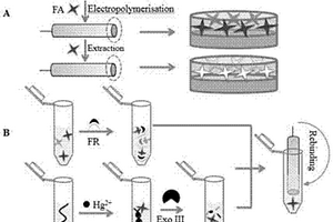电化学生物传感器，及其制备方法和用途