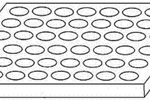 用于电化学发光分析的微孔板