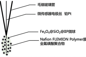 应用于痕量检测重金属离子装置及其检测方法