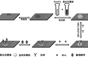 电化学传感器及其制备和应用