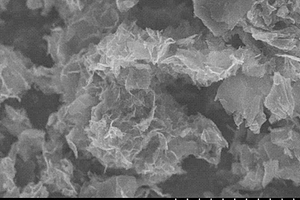 硫化钨-石墨烯电化学传感器及其制备方法与应用