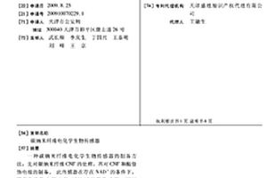 碳纳米纤维电化学生物传感器