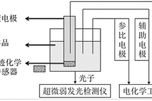 藻毒素分子印迹化学受体传感器及其制备方法和应用