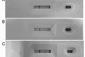 改进苏丹红1检测试剂盒的方法