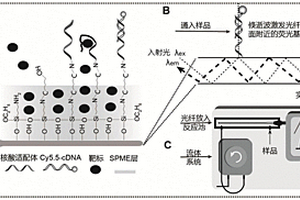 核酸适配体光波导传感器及应用其的检测方法