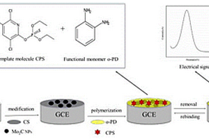 毒死蜱分子印迹电化学传感器的制备方法