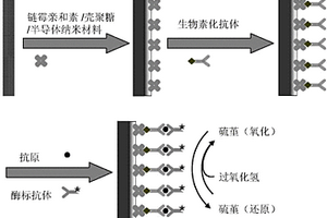 基于链霉亲和素功能化半导体纳米材料的肿瘤标志物电化学免疫传感器及其制备方法