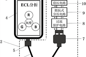 基于手机USB‑OTG接口的电化学发光生化检测系统及方法