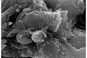 四羟基酞菁锌-还原氧化石墨烯纳米复合物及其制备的电化学传感器和应用