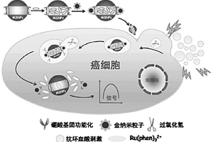 电致化学发光传感器用于癌细胞识别的方法