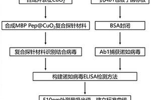 诺如病毒检测探针及其制备方法、诺如病毒检测试剂盒和非诊断目的检测诺如病毒的方法