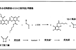 掺杂化学发光及吸收活性分子的二氧化硅纳米颗粒