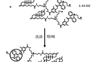 化学发光雄烯二酮缀合物