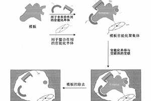 溶剂化显色官能化单体和它们通过溶剂化显色分子印迹用于化学传感的用途