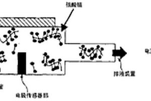 生物分子检测方法及生物分子检测用芯片