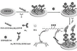 基于姜黄素复合ZnO纳米粒子猝灭鲁米诺电化学发光传感器的制备