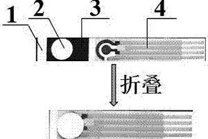 纸基miRNA电化学传感器的制备方法及应用