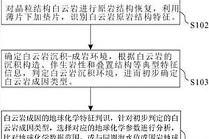 白云岩成因类型的岩石学和地球化学识别方法及系统