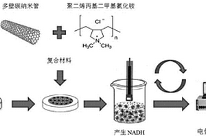 用于检测乳酸菌BCAT酶活的复合电极及其制备方法与应用、检测NADH方法