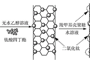 碳纳米管/二氧化钛/羧甲基壳聚糖纳米复合电化学传感材料的制备方法和应用