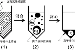 检测水中痕量汞的方法