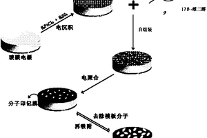 17β-雌二醇分子印记膜电化学传感器的制备方法