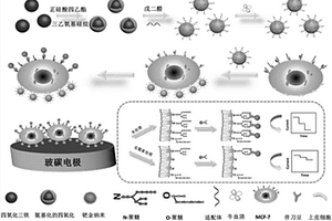 电化学细胞传感器及其制备方法和应用