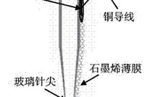 针尖式石墨烯电化学电极的制备方法及应用