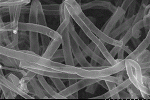 氮掺杂碳纳米管修饰的电化学传感器及其应用