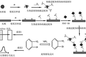 基于纳米银催化的比色和电化学双通道核酸适配体传感器