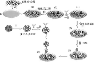 复合纳米材料纸芯片电化学发光免疫传感器的制备方法及应用