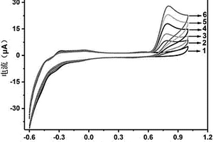 用于传感酪氨酸的电化学工作电极