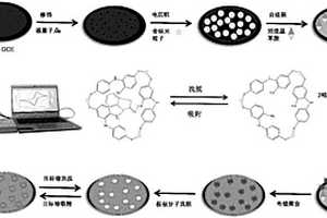 便携式展青霉素分子印迹丝网印刷电化学传感器