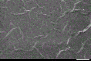 氧化铜纳米针/氮掺杂石墨烯复合材料的非酶葡萄糖电化学传感器的制备方法