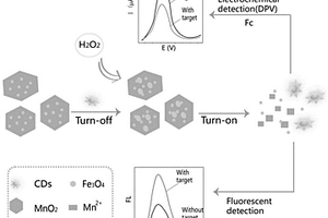 基于Fe<Sub>3</Sub>O<Sub>4</Sub>@MnO<Sub>2</Sub>和碳点的电化学和荧光双信号传感器检测过氧化氢的方法