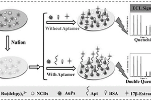 17β-雌二醇电化学发光适配体传感器的制备方法及应用